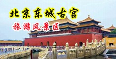 欧美大鸡巴操小骚逼黄色一级视频中国北京-东城古宫旅游风景区